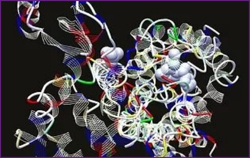 out_science_dna_rna